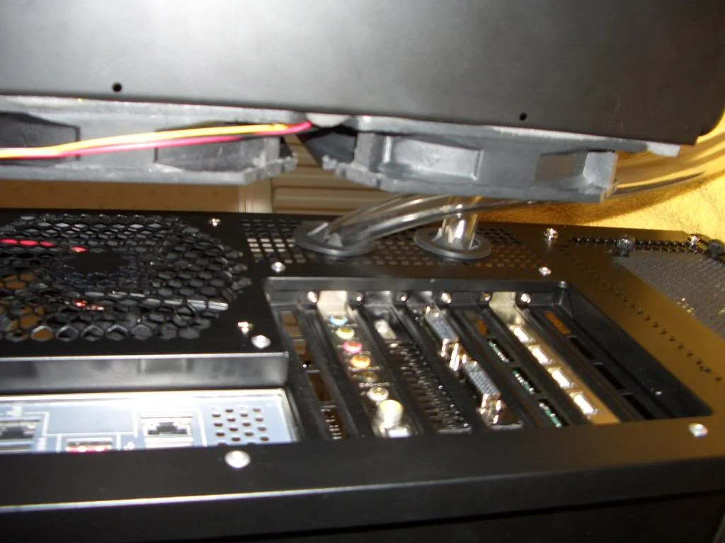 CIMG2263.webp