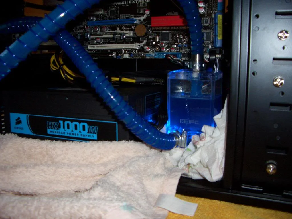 CIMG2269.webp