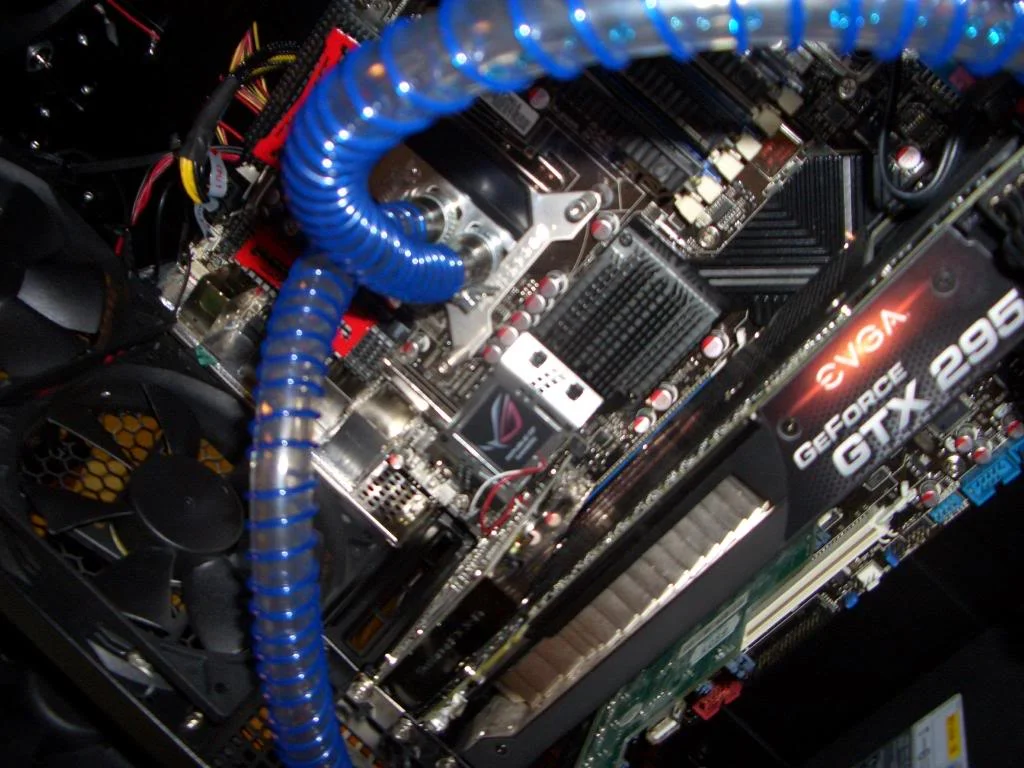 CIMG2277.webp