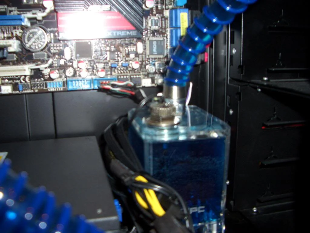 CIMG2278.webp
