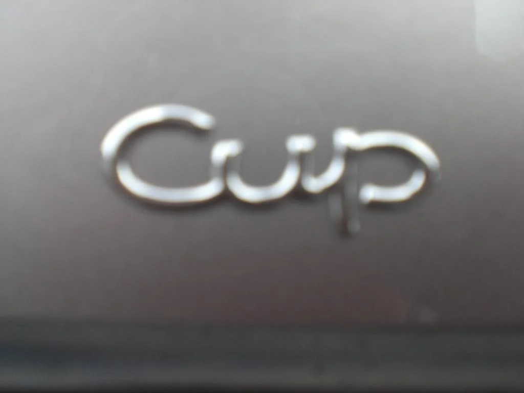 CIMG2331.webp