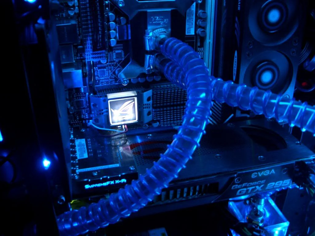 CIMG2353.webp
