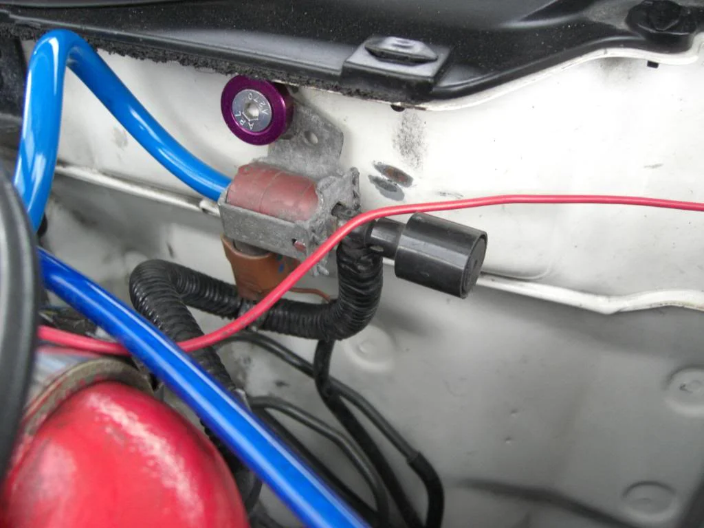 CIMG3453-1.webp