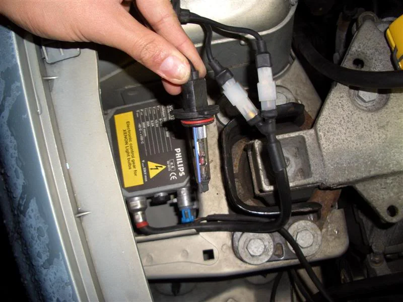 CIMG3993Medium.webp