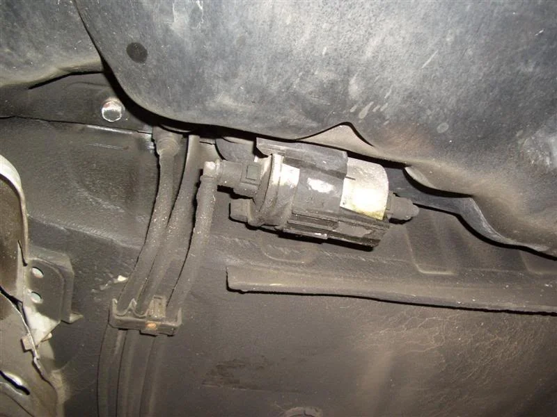 CIMG4624Medium.webp