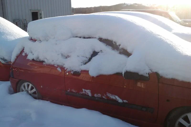 Clio-04-12-10-003_800x533.webp