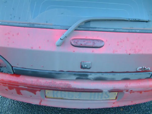 clio-15-11-08-040.webp