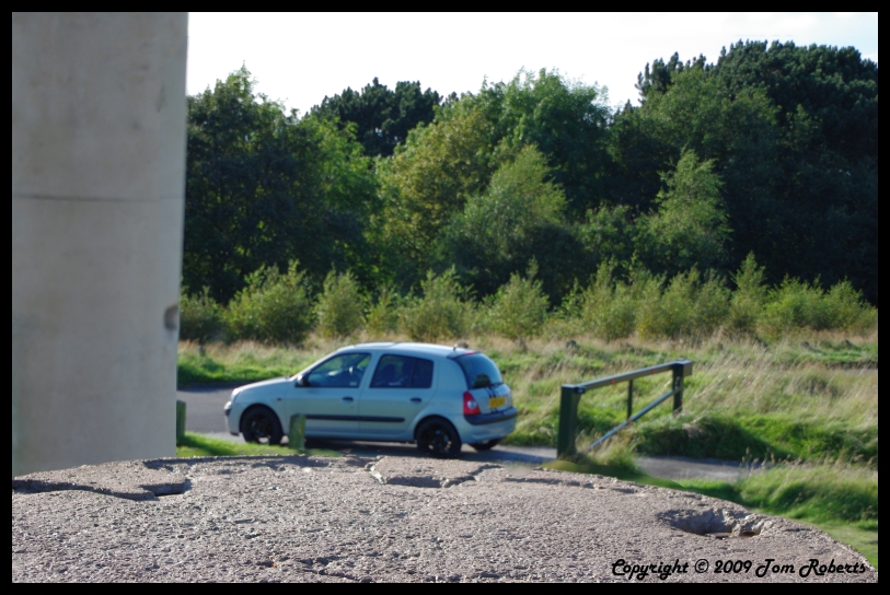 Clio%20from%20inside%20memorial.jpg