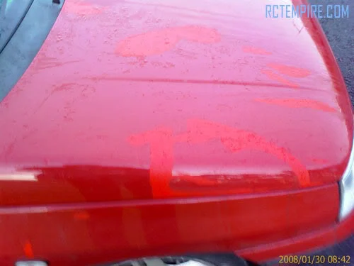 clio-30-01-08_06.webp