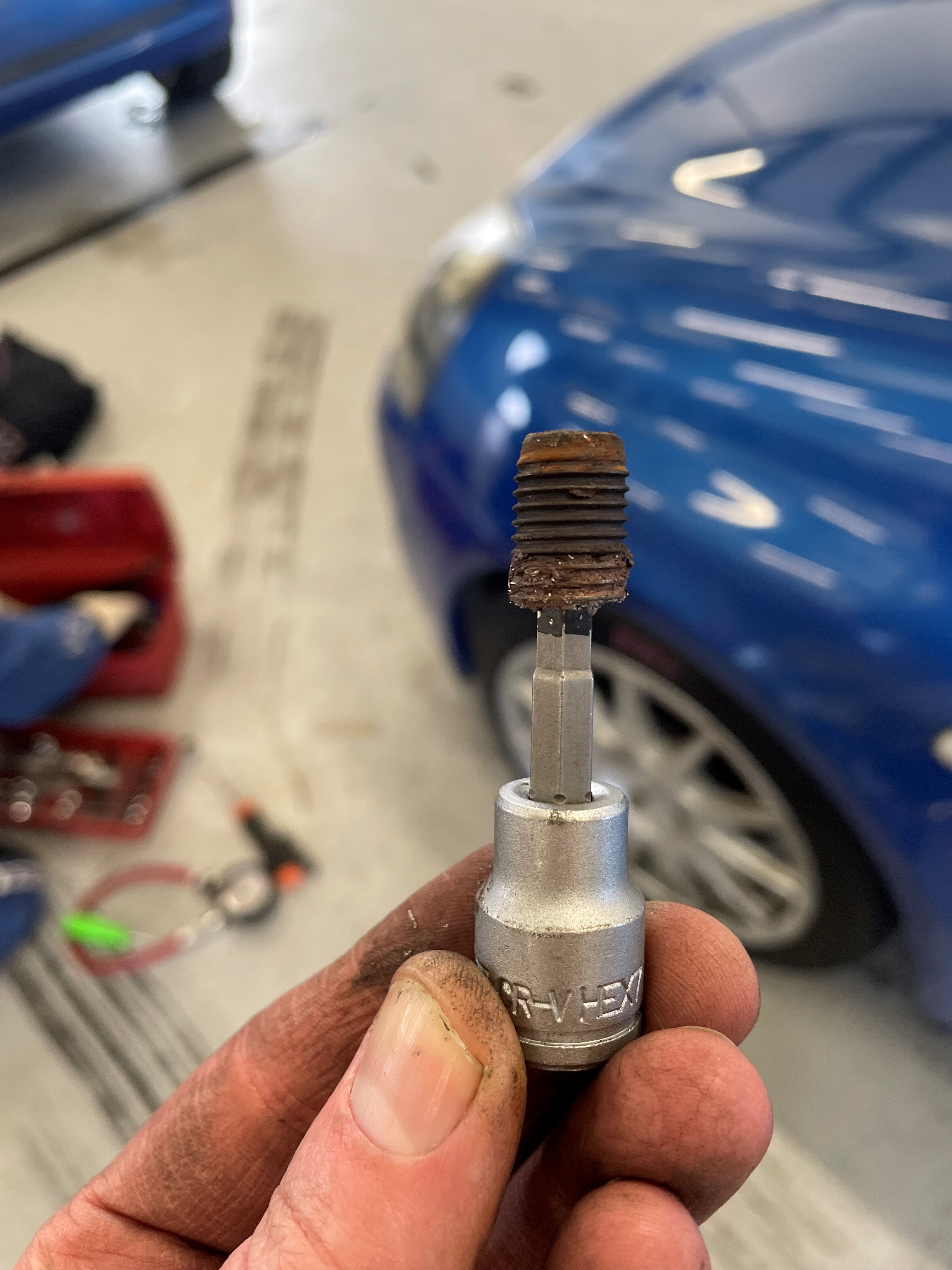 Clio bolt.jpg