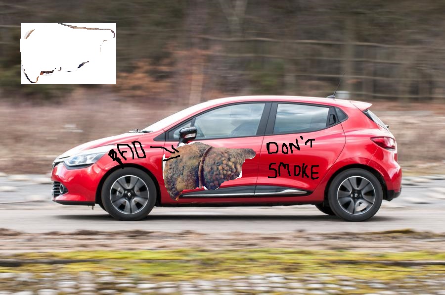 clio.jpg