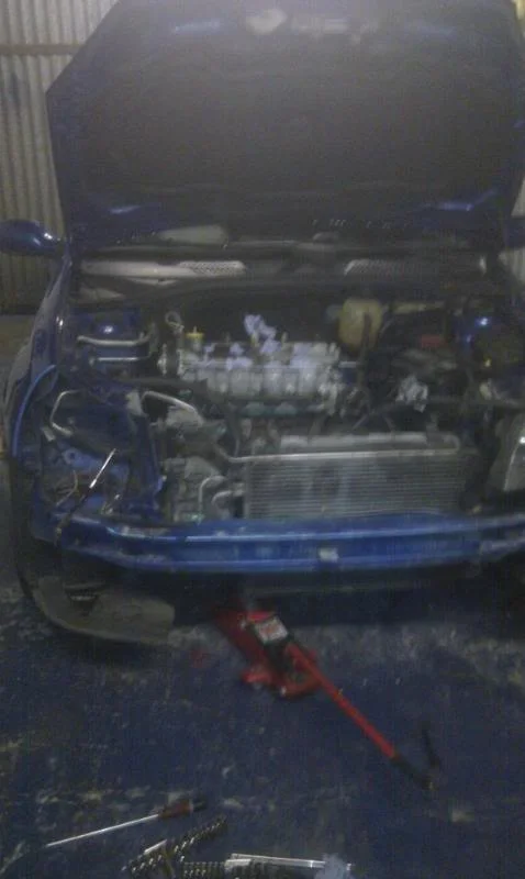 clio.webp