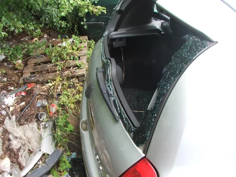 clio009.webp