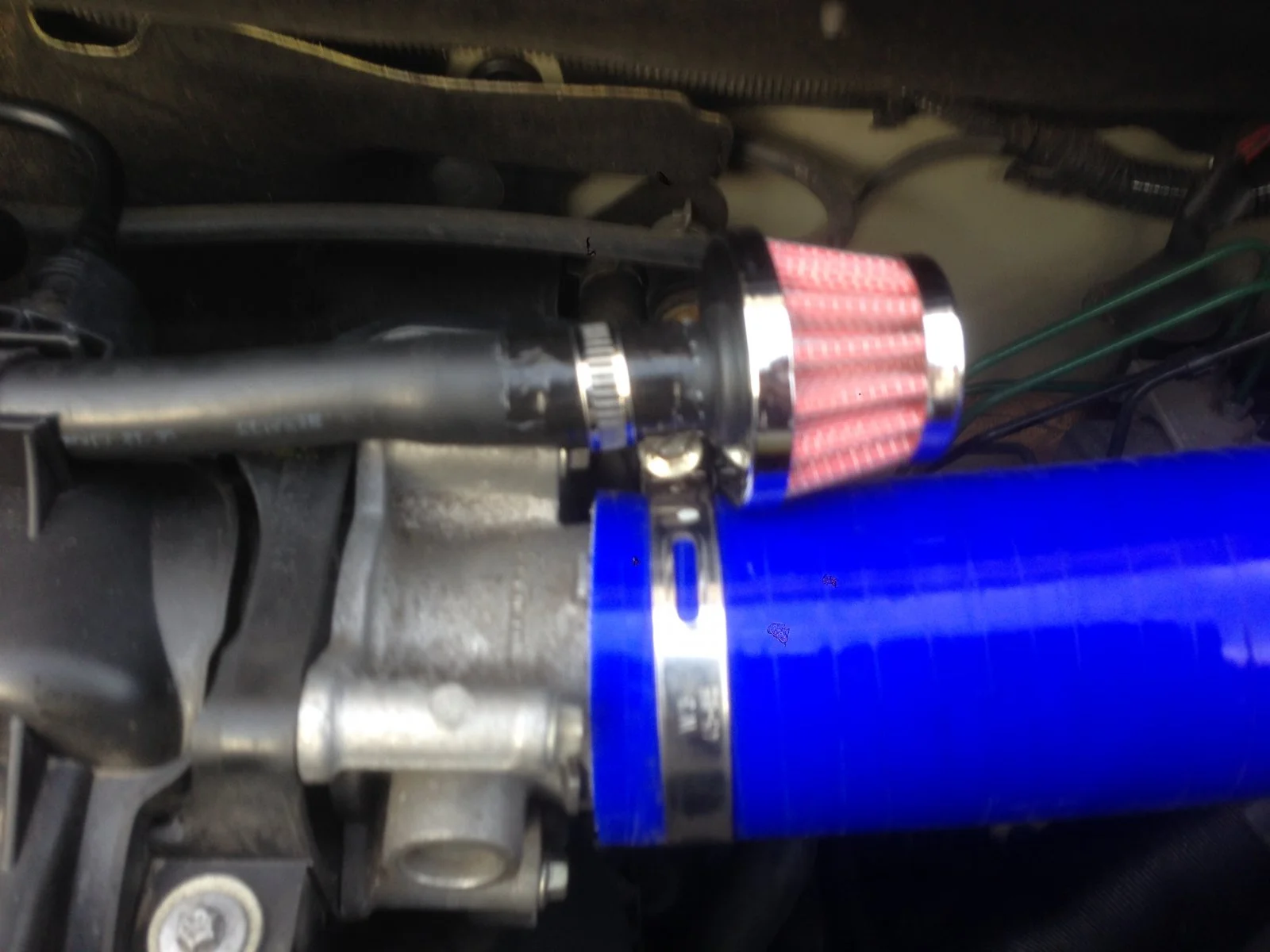 CLIO2.webp