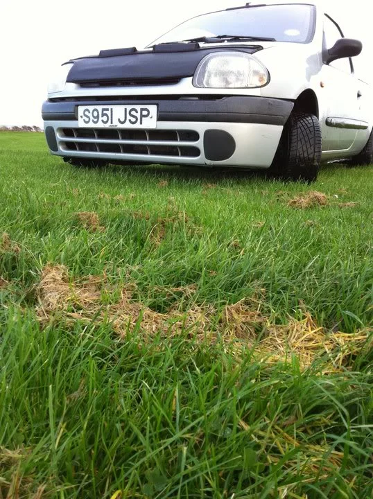 clio2.webp