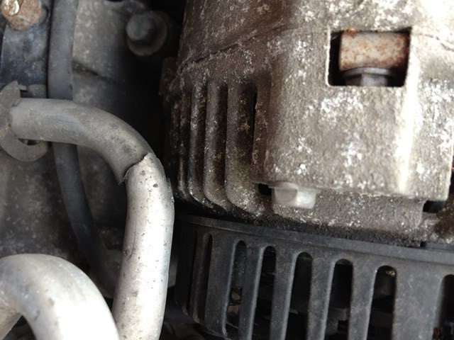 Clio26.jpg Clio26.jpg