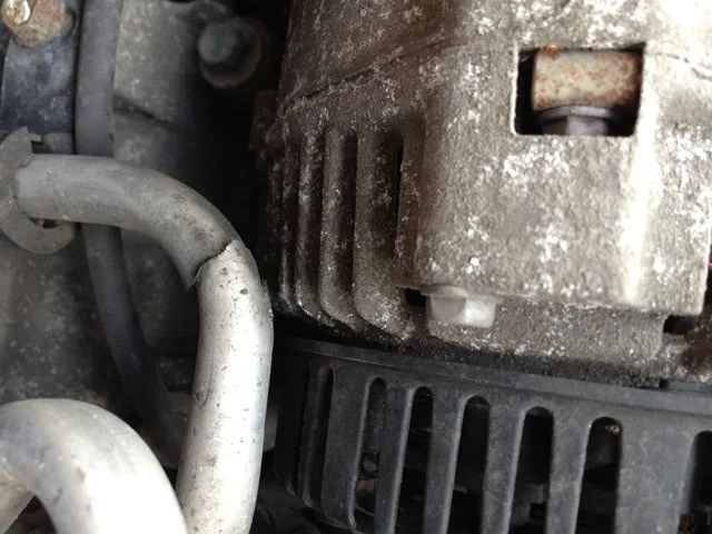 Clio26.webp