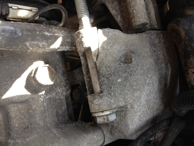 Clio29.jpg Clio29.jpg