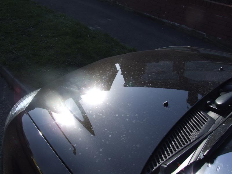 clio3.jpg