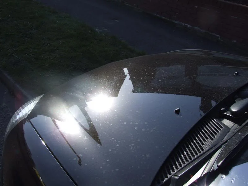 clio3.webp