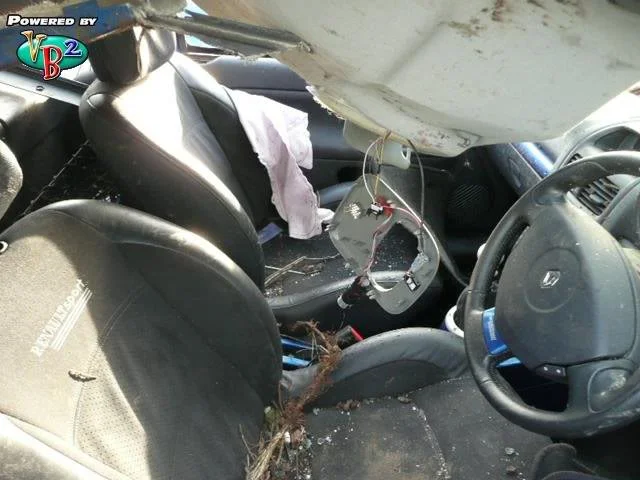 clio4.webp