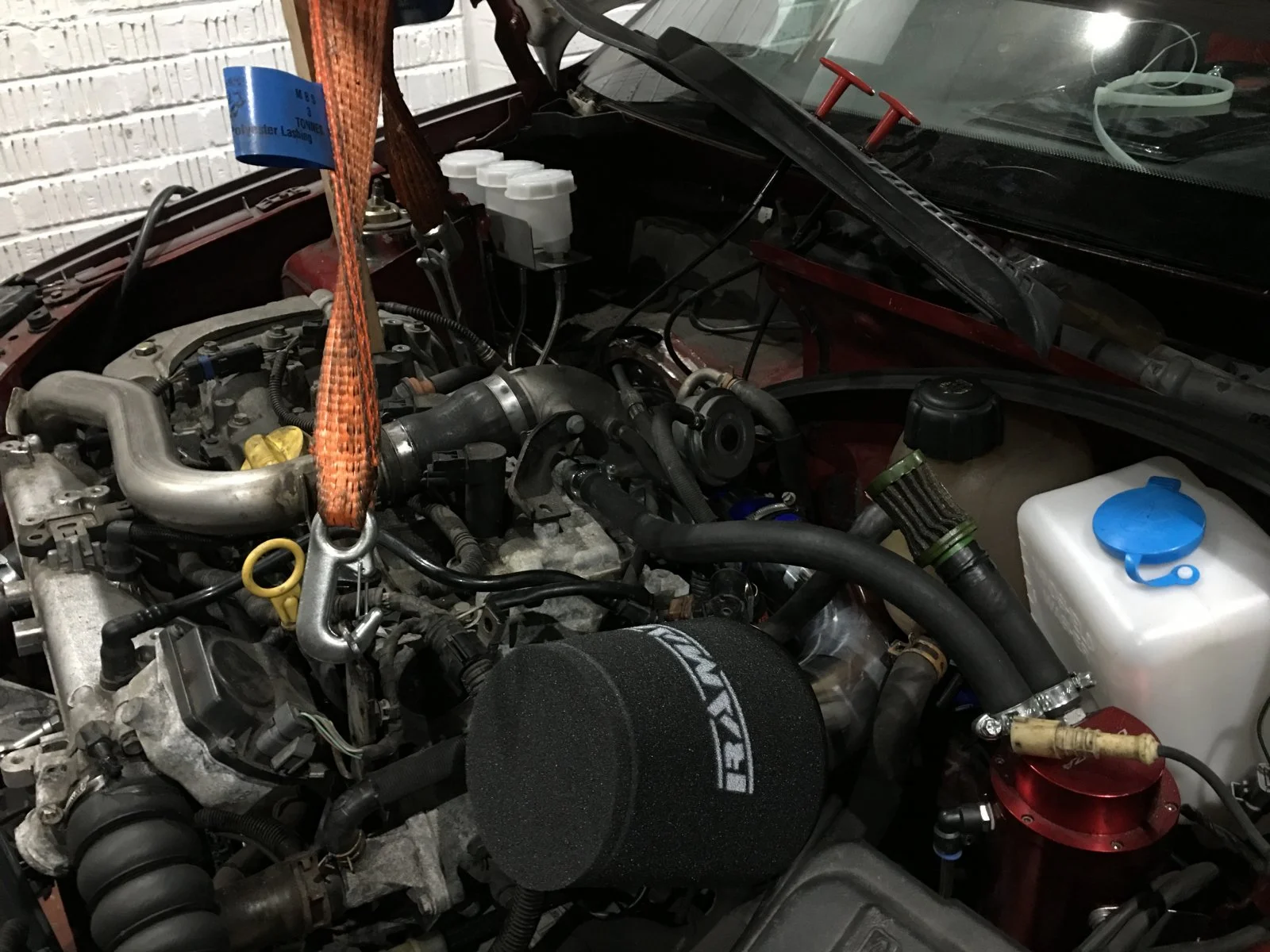 clio888.webp