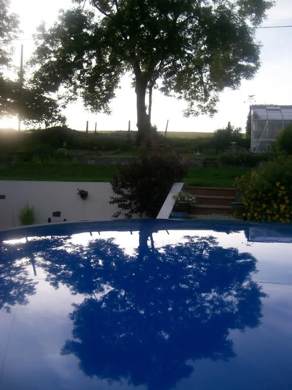 Clio9.webp