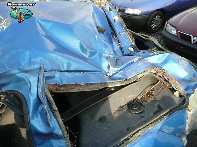 clio9.webp