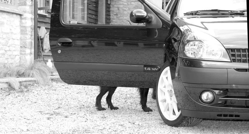 Clio_dog_legged_by_tez180.webp