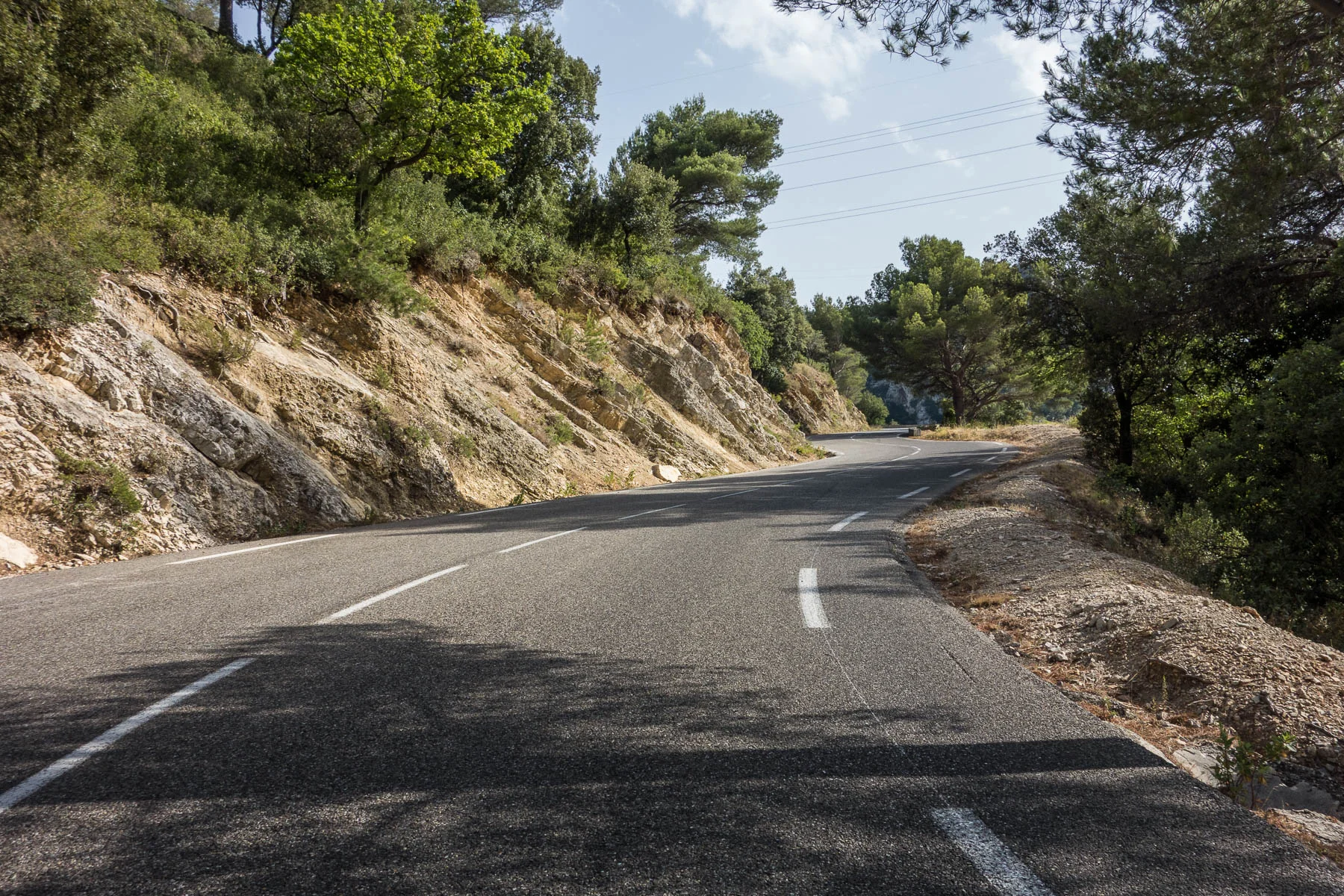 clio_stebaume-02.webp