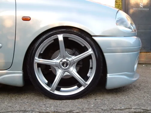Cliocorsa091.webp