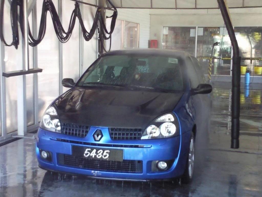 ClioCupGettingWashed.webp