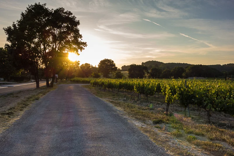 cliosunset-1.webp