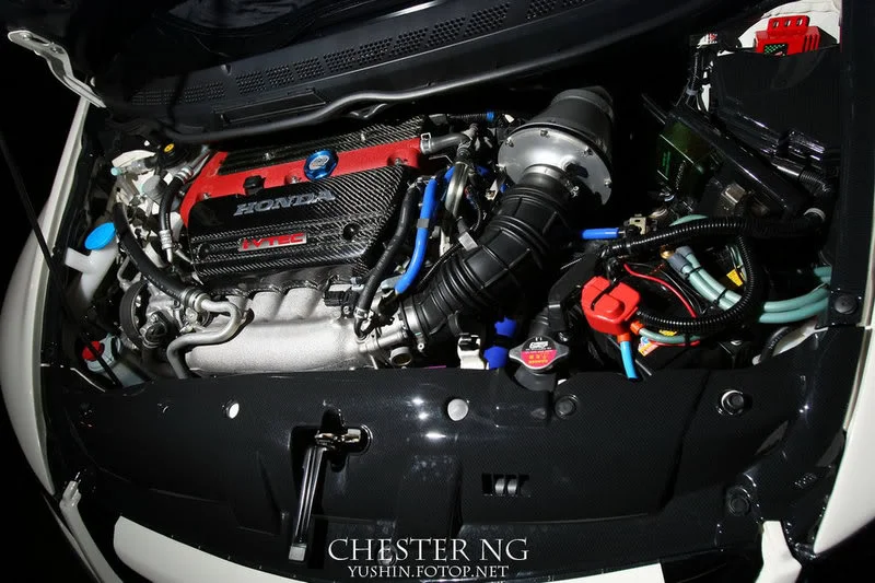 CNG_1595.webp