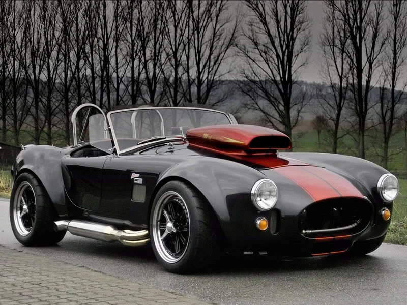 cobra.webp