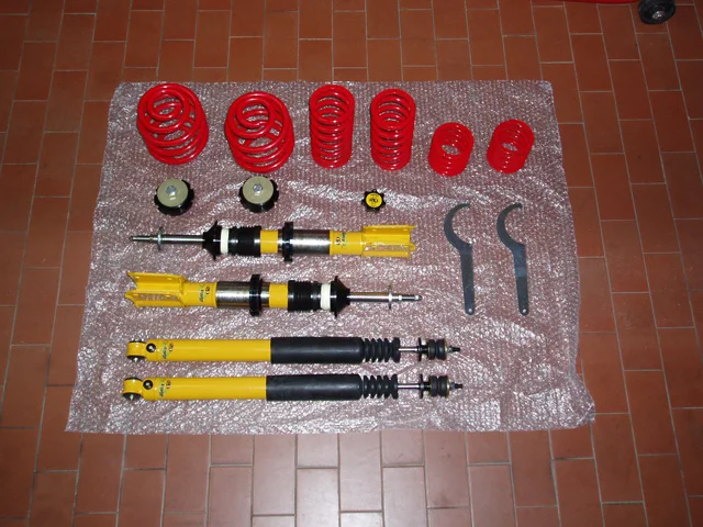 coilies.webp