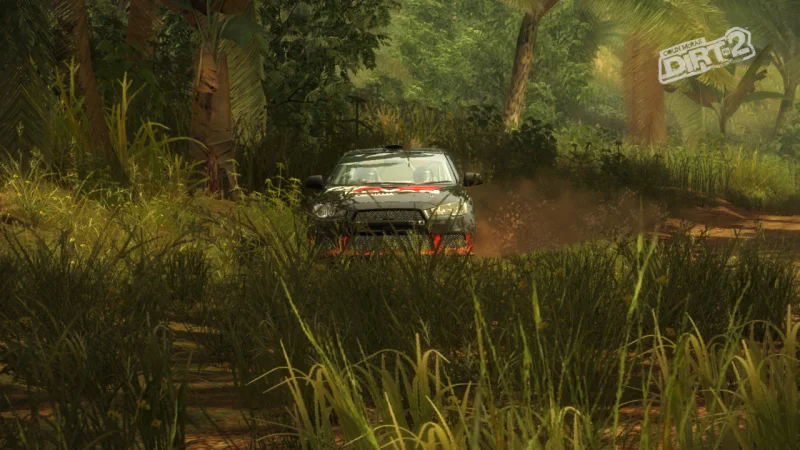ColinMcRaeDiRT2-Brazo_15.webp