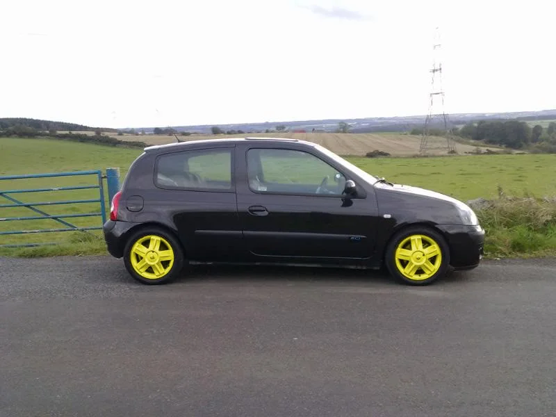 colour1copyyellow.webp