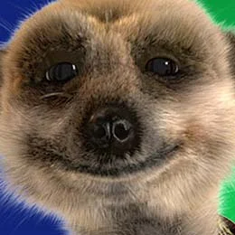 compare_the_meerkat.webp