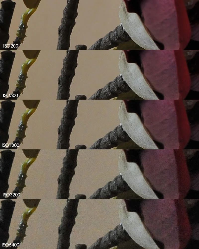 Comparison-D3-2.webp
