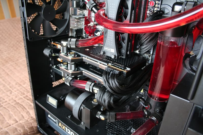 Complete2.jpg