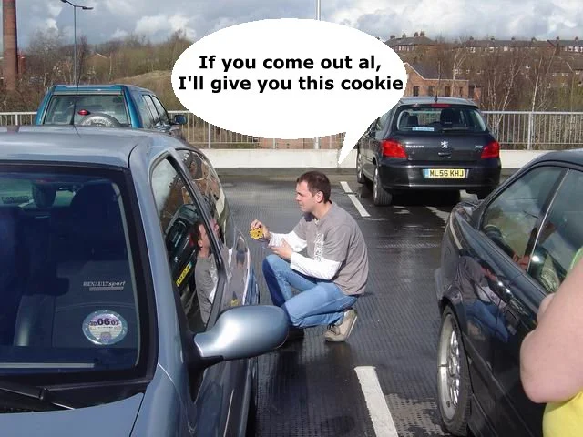 cookie.webp
