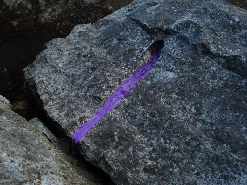 CopyofDSC00147.webp