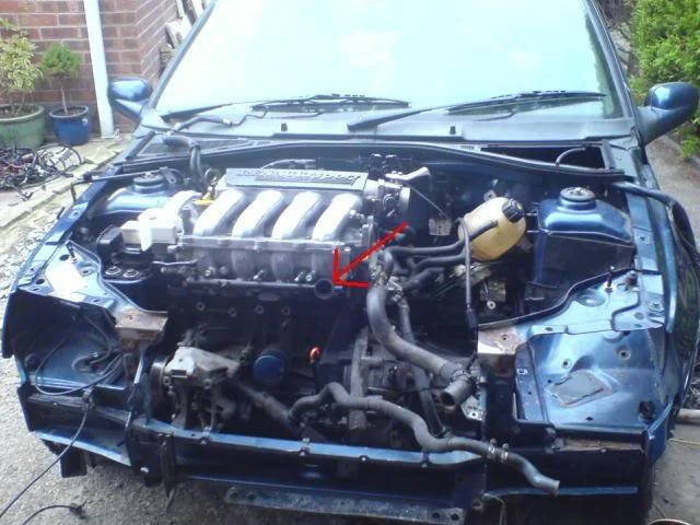 CopyofDSC00328.webp