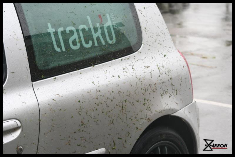 CornClio1.jpg CornClio1.jpg