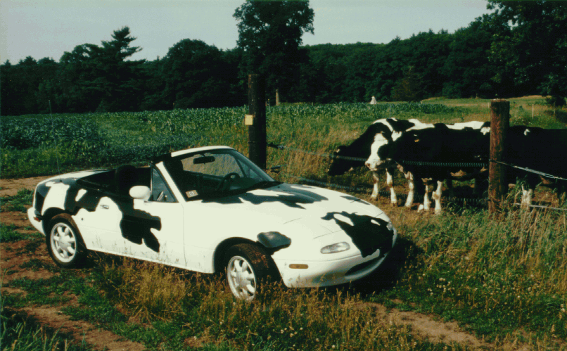 cowcar.gif