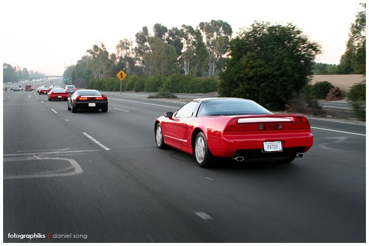 cruise12.webp