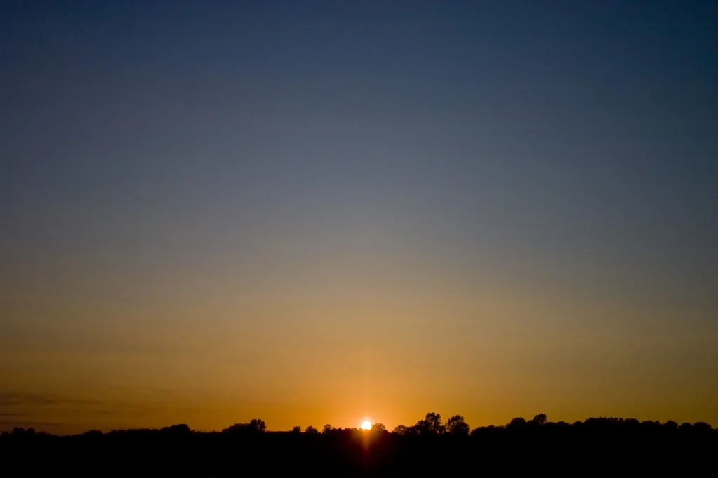 CRW_9958.webp