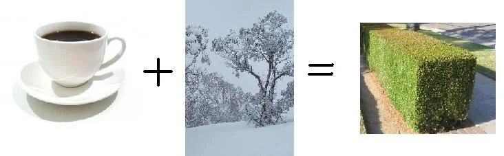 cup_plus_snow.webp