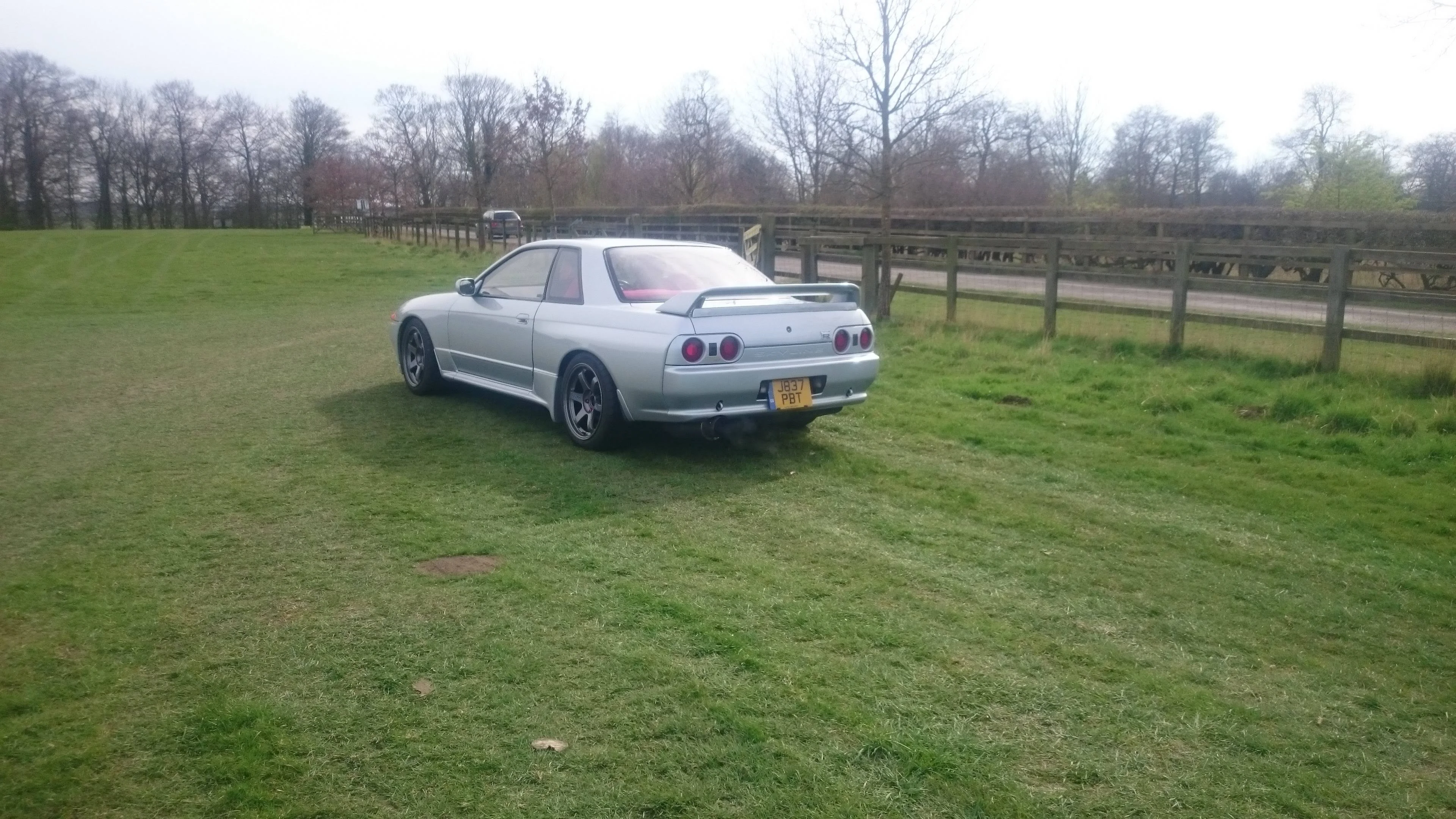 cY3Ocu0.webp